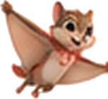 Glydie the flying squirrel
